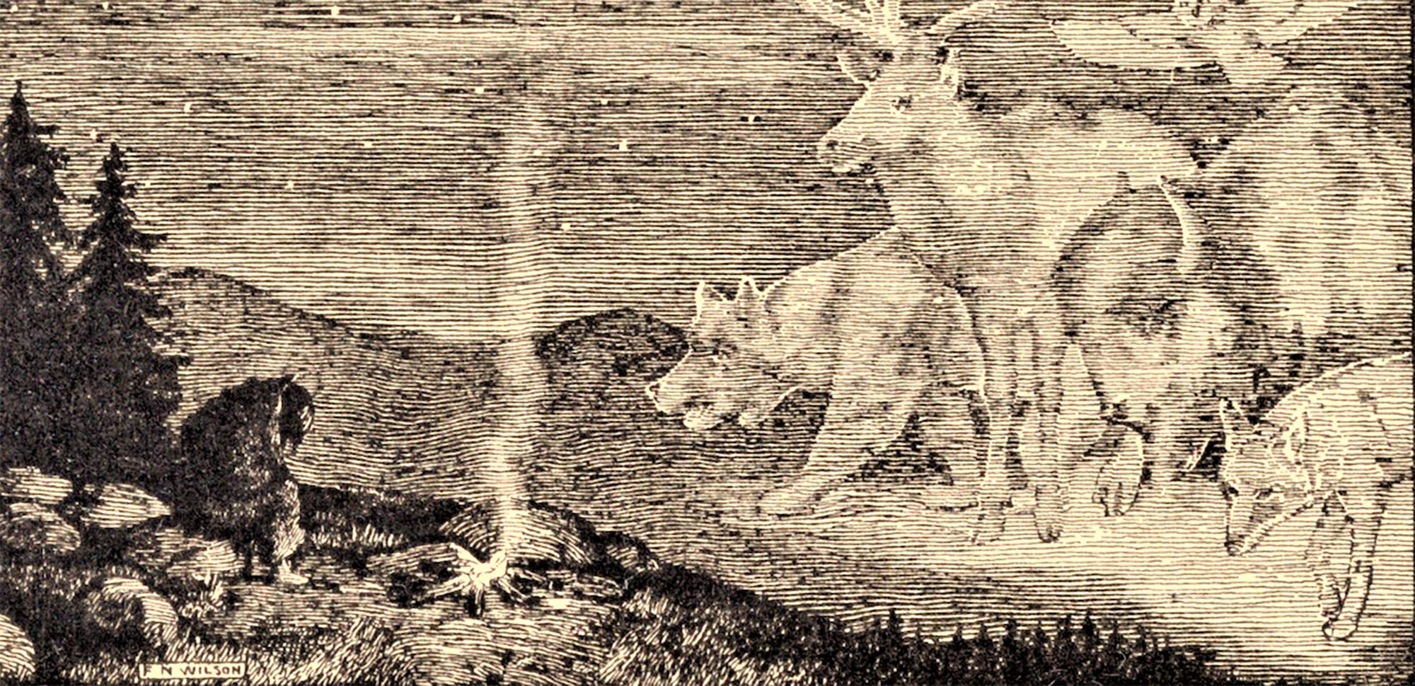 Dyreåndernes ankomst (F.N. Wilson, 1914)