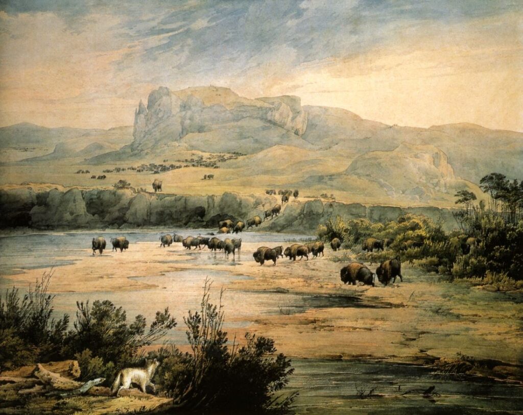 Bisonflok, øvre Missouri. Karl Bodmer, 1833