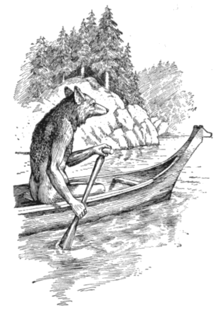 Dyr eller menneske? Tricksteren er en paradoksal tværkulturel skikkelse, i Nordamerika ofte i skikkelse af en Coyote (ukendte kunstner)