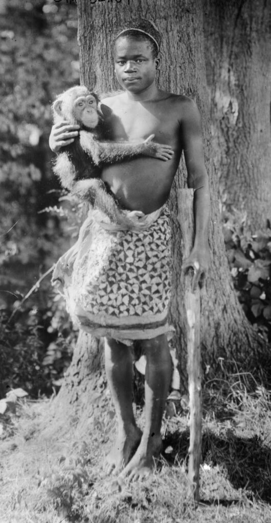 Ota Benga blev udstillet i Bronx Zoo i 1906 (ukendt fotograf; Wikimedia Commons). På et skilt kunne man bl.a. læse: "Den afrikanske pygmæ, Ota Benga. 23 år. Bragt fra floden Kasai, Congo Free State, af Dr. Samuel P. Verner. Udstillet hver eftermiddag i september."