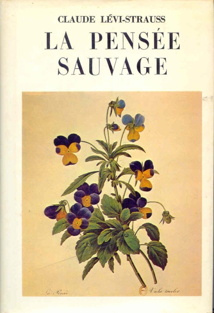 Stedmoderblomst, eller på fransk, La Pensée Sauvage (den vilde tanke), er både forsidemotiv på Lévi-Strauss' klassiker 'Den vilde tanke', som på fransk tilsvarende hedder 'La Pensée Sauvage'. Blomstens relevans er i denne sammenhæng ikke alene relateret til navnets tvetydighed, men også til den 'vilde tænkning', der ligger bag fortællinger om blomsten