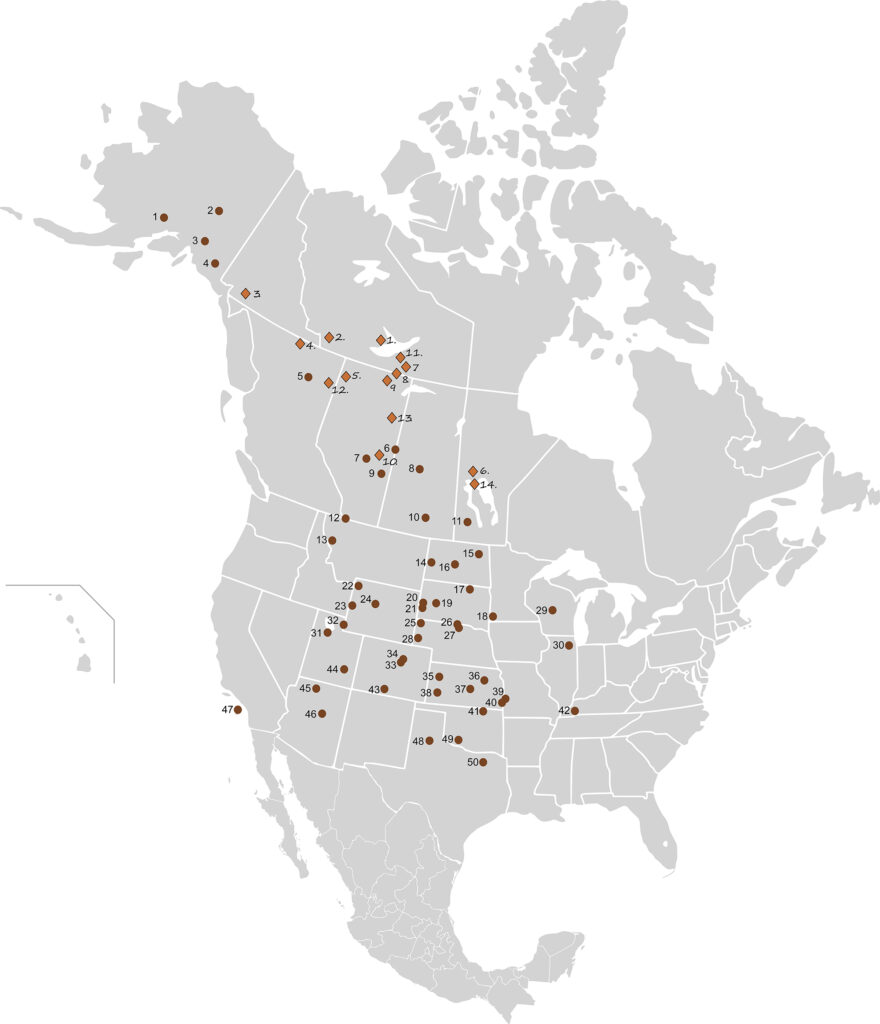 Distributionen af offentlige og fritlevende bisonflokke i Nordamerika i 2003. Lysebrun: skovbison, mørkebrun: præriebison (Wikipedia-kort baseret på George A Feldhamer, Bruce Carlyle Thompson, Joseph A Chapman 2003: 'Wild mammals of North America: biology, management, and conservation'; Johns Hopkins University Press)